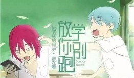 吃瓜少女爱凑热闹小说免费阅读,热闹小说中的欢乐时光