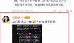 台湾媒体爆料张颖颖视频,事件引发社会关注