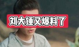 刘大锤爆料谈恋爱了吗视频,揭秘他与神秘女友的甜蜜瞬间