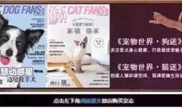 热点兽医日本爆料视频,真相令人震惊！