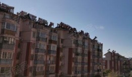 盛世华庭熙园最新爆料,揭秘高端居住新地标！