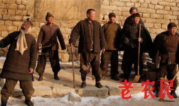 老农民电视剧全集在线观看,重温农村变迁，感受时代脉搏