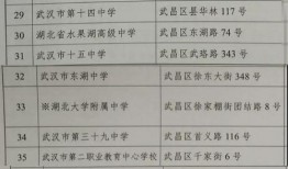 新骑士哥查德爆料视频在线观看,揭秘幕后真相，带你走进神秘世界