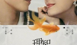 王鹤棣秦岚爆料了吗视频,揭秘娱乐圈幕后真相