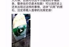 原切最新爆料,揭秘神秘项目背后的惊人真相