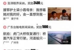 湖南头条最新爆料视频播放,视频内容引发热议，揭秘惊人真相！