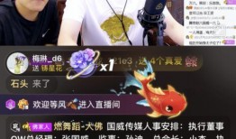 沈猛爆料佬哥视频大全集,揭秘视频大全集背后的精彩故事