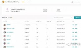 独家爆料快手视频在线观看,快手热门视频在线观看背后的秘密