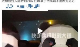 刘大锤爆料榜单最新消息,榜单风云再起，揭秘热门话题背后的秘密