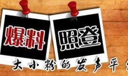 重庆实事爆料新闻最新情况,重大事件追踪，真相即将揭晓