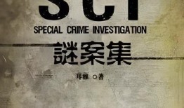 sci迷案集在线观看,探秘悬疑世界的在线悬疑盛宴