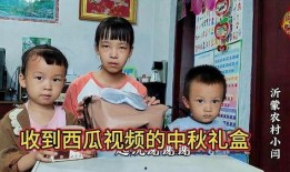 越南姐弟吃瓜视频网站免费观看,免费观看吃瓜视频网站背后的故事
