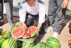 江西网红吃瓜事件视频,揭秘网络舆论背后的真相