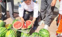 江西网红吃瓜事件视频,揭秘网络舆论背后的真相