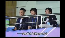 足协刘洁爆料视频播放,视频播放背后的真相曝光