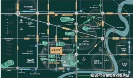 重庆晚安爆料新闻视频最新,揭秘最新热点事件背后的真相
