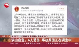 武汉洪山最新爆料事件,事件真相与后续发展全解析