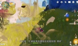 外网原神大佬爆料视频下载,游戏新内容与未来走向深度解析