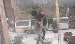 河南一小区爆料视频,揭秘小区内幕