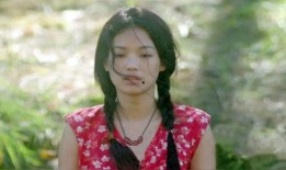 在线观看舒淇,光影交织下的魅力女神