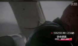 致命快递正片在线观看,揭秘网络暗流，一触即发的生死较量