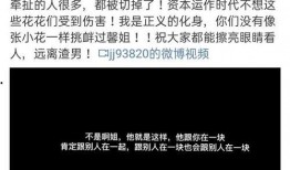 导演前妻爆料视频播放网站,揭秘幕后的婚姻真相
