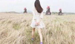 娱乐吃瓜酱背影图片大全,娱乐吃瓜酱背影图片大全揭秘