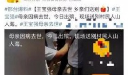 王宝强爆料妈妈视频大全,温情视频大盘点
