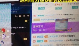 外网原神大佬爆料视频下载,游戏新内容与未来走向深度解析