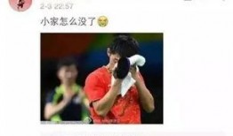 网红爆料张继科视频