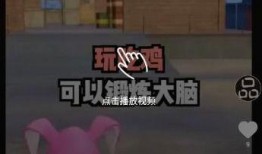 精彩小视频爆料在哪,精彩内容生成攻略