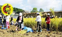 快乐肉类农场爆料视频,独家爆料视频带你探秘农场养殖过程
