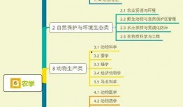 热点爆料零食视频大全集,热门爆料，美味瞬间回顾