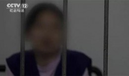 文安吃瓜网红事件始末,揭秘网络舆论的风暴与反思