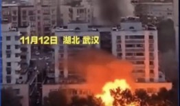 武汉洪山最新爆料事件,事件真相与后续发展全解析
