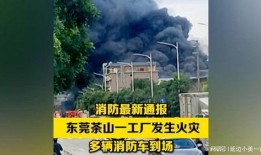 东莞市茶山爆料案件最新,案件疑云重重，真相渐浮水面