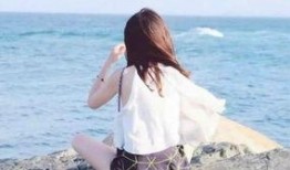 娱乐吃瓜酱背影图片大全,娱乐吃瓜酱背影图片大全揭秘