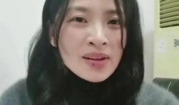 爆料陈霄华女租客视频,揭秘背后真相与争议