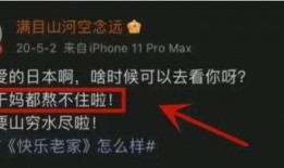 内鬼最新爆料视频