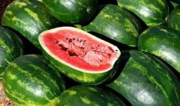 吃瓜背景视频下载免费,免费背景视频带你领略网络热点的魅力