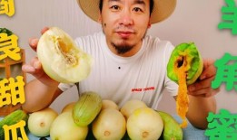 网红吃瓜哪里买