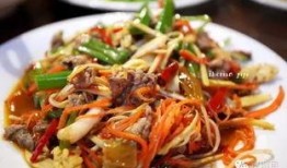 野生菌爆料视频大全最新,探寻大自然的神秘馈赠