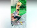 网红熊吃瓜视频原版在线观看,揭秘幕后真相，带你领略网络红人的魅力与争议