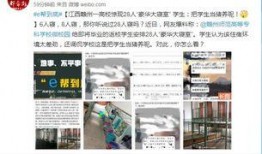 爆料视频赣州,城市生活新视角