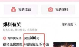 盐城头条爆料视频,视频揭秘惊人内幕