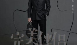 完美伴侣手机在线观看,手机在线观看，浪漫邂逅等你来发现