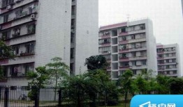 珠海富华广场爆料视频,揭秘神秘项目背后的故事