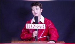 任嘉伦采访爆料视频,幕后故事与心路历程大公开
