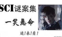 sci迷案集在线观看,探秘悬疑世界的在线悬疑盛宴