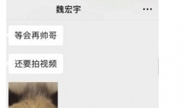 胖猫事件知情人士爆料视频